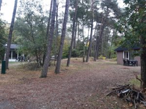 geheel verzorgd lang weekend schilderen op de Veluwe